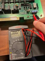 IMG_5511.jpeg