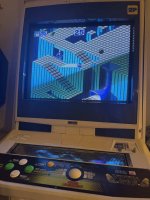 IMG_1346.JPEG