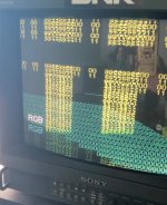 IMG_3670.jpeg