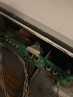 IMG_5477.jpg