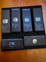 IMG_0950(3).jpg