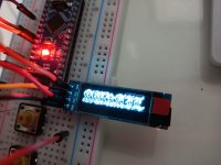 89529069_10219720641939586_3353875506872188928_n.jpg