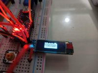 89739647_10219733645904677_865759157972631552_n.jpg