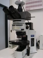 olympus_bx61.jpg