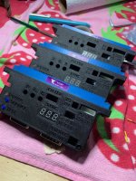 IMG_5822.jpeg IMG_5822.jpeg