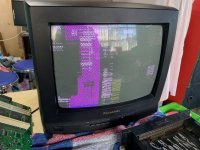 IMG_6195.jpeg IMG_6195.jpeg