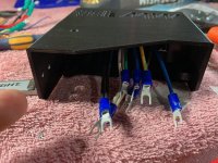 IMG_6920.jpeg