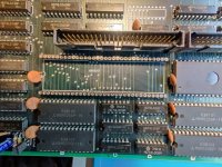 IMG_20210814_182243_481.jpg