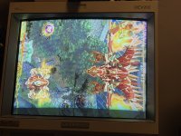 9802B683-D19A-4DCA-804E-EF61BCAEAFD5.jpeg