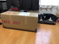 27E77E74-DF05-4490-BA79-A315D96613B1.jpeg