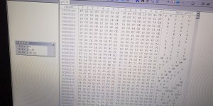 -e084a12be24d2b.jpg