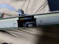 DSC_5435.JPG