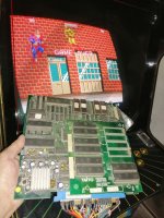 IMG_20220926_174205.jpg