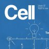 Cell