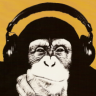 mmmonkey