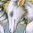Stardragon
